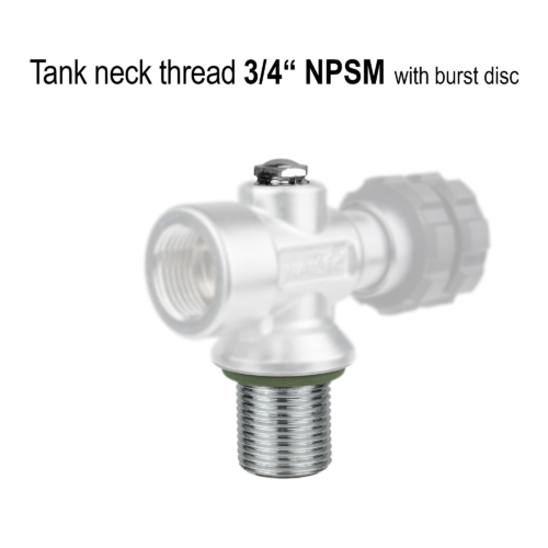 NPSM